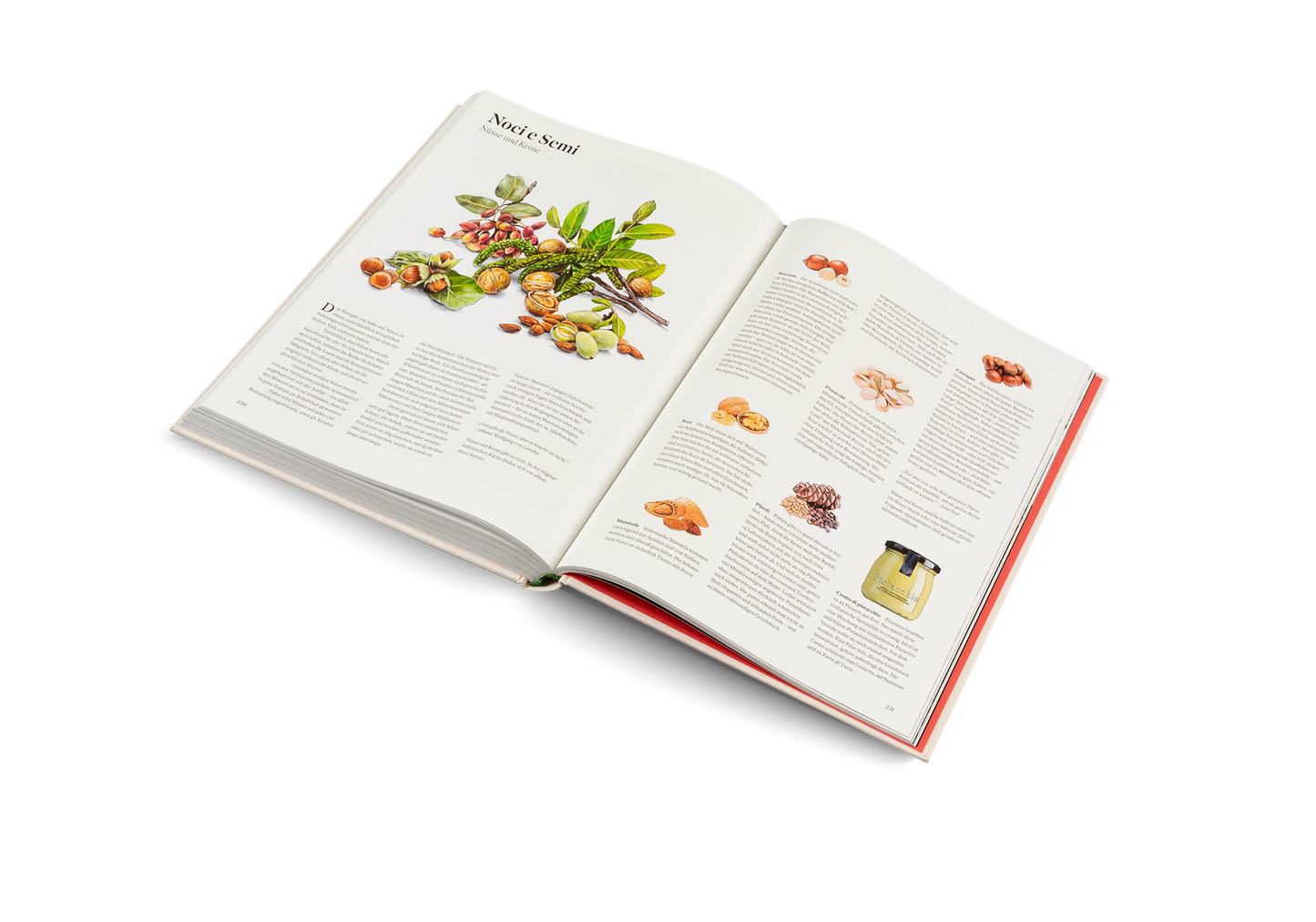 Originale - Kochbuch