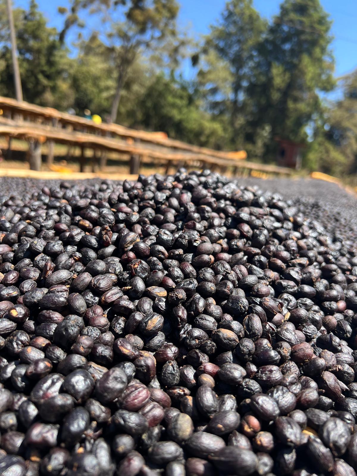 Café De La Casa Espresso - 1 Kilo