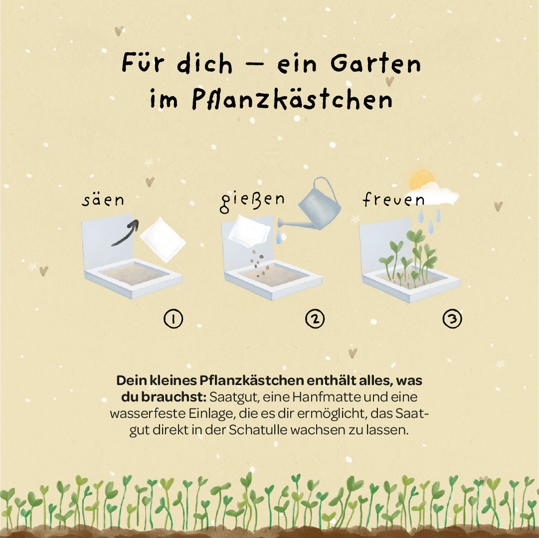 Pflanzkästchen - Unentbeerlich