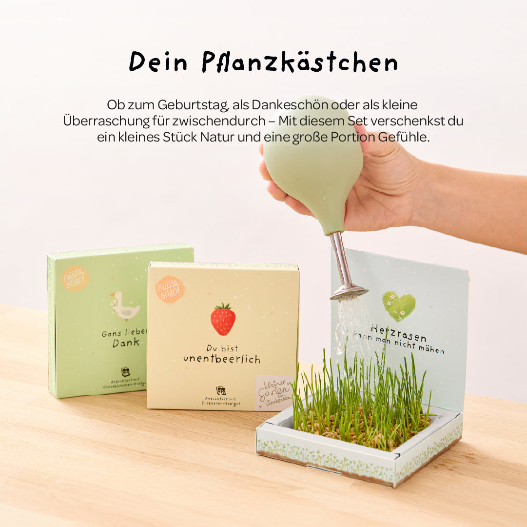 Pflanzkästchen - Unentbeerlich