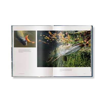 Angeln - Table Book