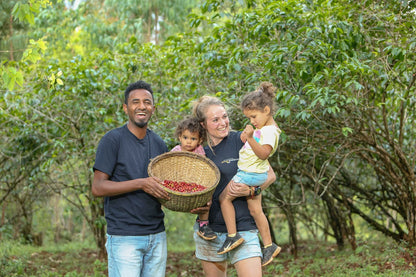 Ethiopia - Syoum Family - Heirloom Natural - 1 Kilo