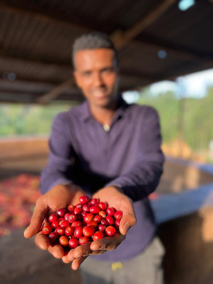 Café De La Casa Espresso - 1 Kilo