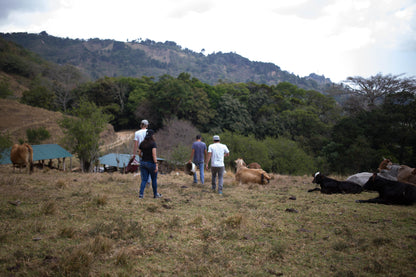 Filter Coffee - Jorge Vásquez - Catuai Natural