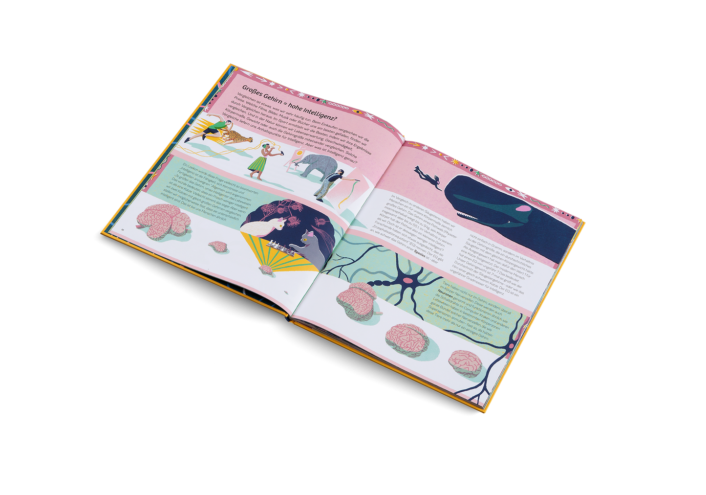 Kinderbuch - Ganz schön schlaue Tiere