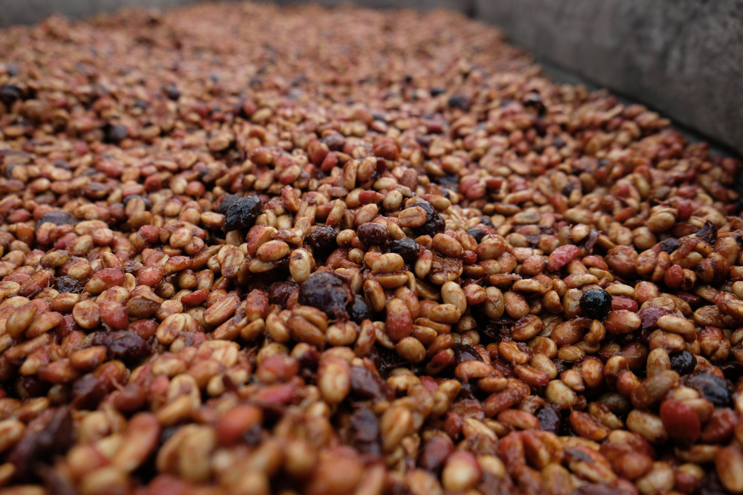 Corazón Oscuro - Espresso Blend - 1 Kilo