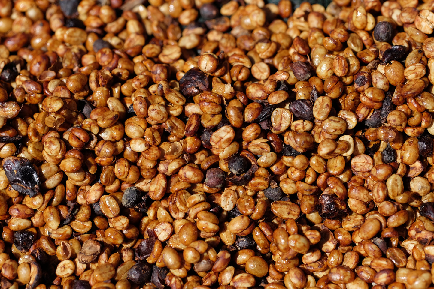 Corazón Oscuro - Espresso Blend - 1 Kilo