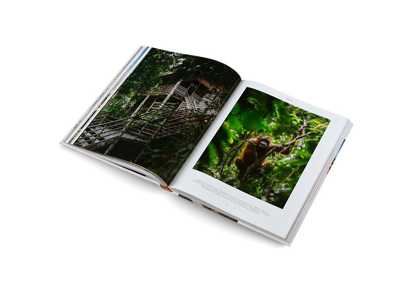 Life on the Road - Table Book