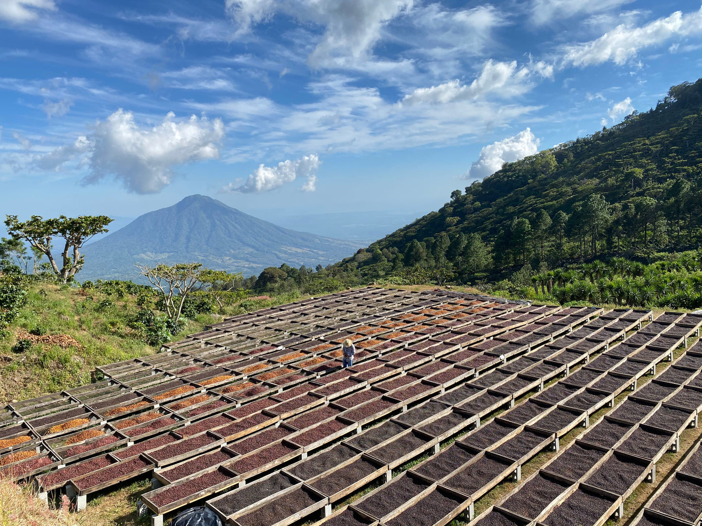 Corazón Oscuro - Espresso Blend - 1 Kilo