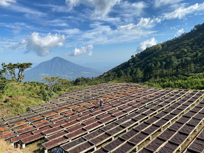Corazón Oscuro - Espresso Blend - 1 Kilo