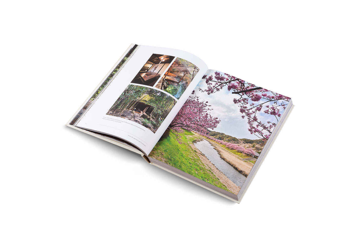 Onsen and Ryokan of Japan - Table Book