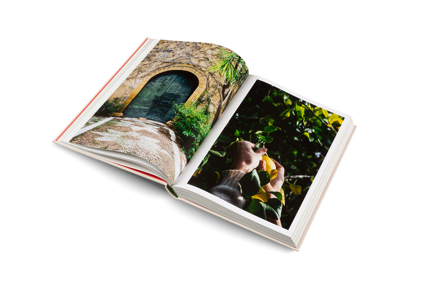 Originale - Kochbuch