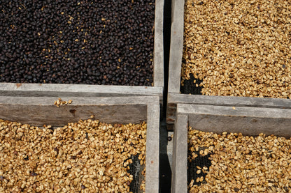 Corazón Oscuro - Espresso Blend - 1 Kilo