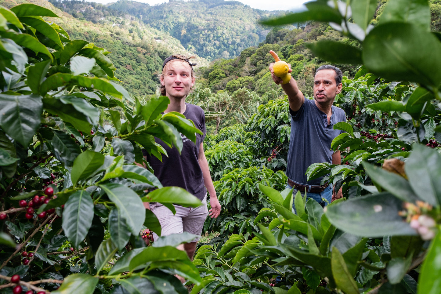 Filter Coffee - Jorge Vásquez - Catuai Natural