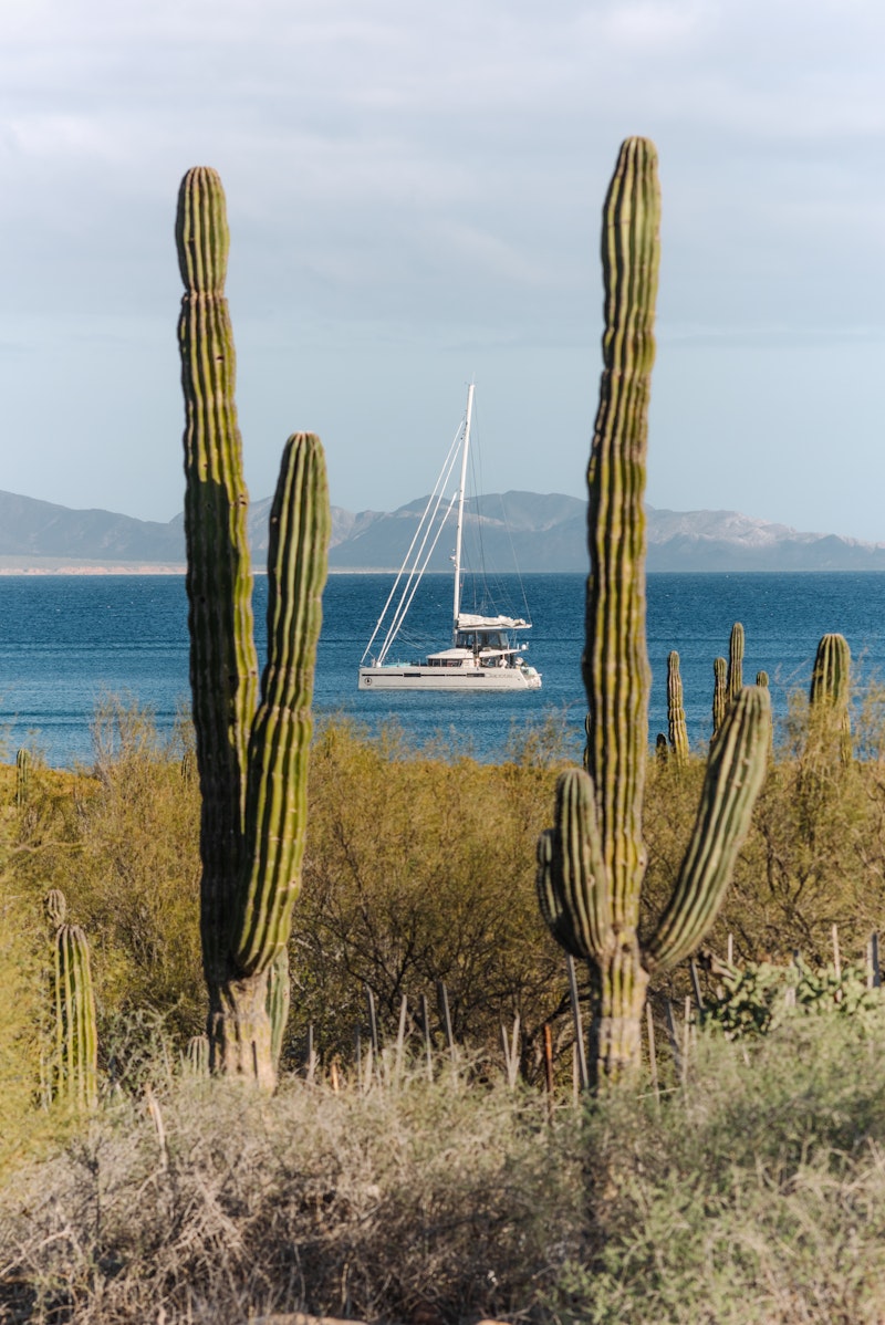 Sailing the Seas Vol. 2 - Table Book