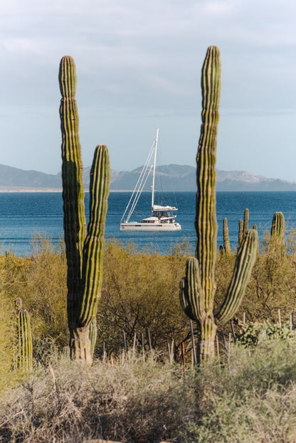 Sailing the Seas Vol. 2 - Table Book